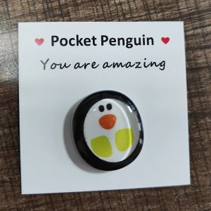 Pocket Penguin Hug-Assorted